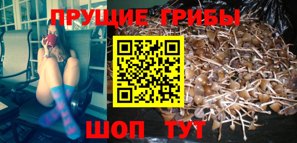 Галлюциногенные грибы Magic Shrooms  Вход с VPN  Кыштым 